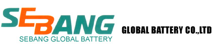 SEBANG GLOBAL BATTERY